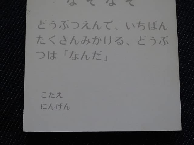Amazon.co.jp: mmea_ミニカード_おそば屋ケンちゃん_No.55 : ホーム