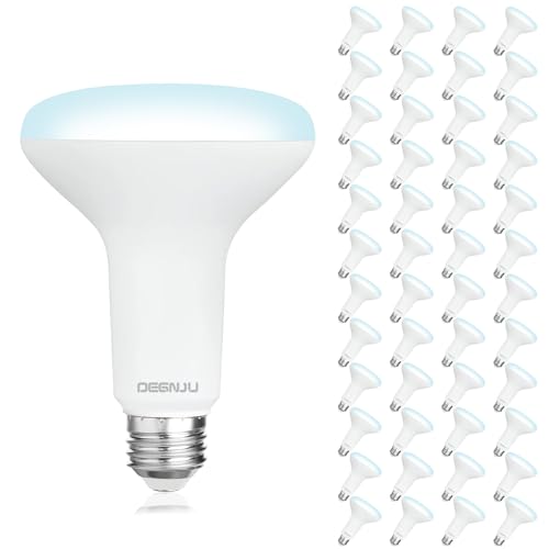 Image of DEGNJU 48 Pack Indoor Flood Light Bulbs, BR30 LED Bulb 7W Equivalent 65W
