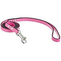 ハイライン (Hi-Line) 首輪 スムースリードAH01-OO-L01 オレンジ/オレンジ SM サイズ | ハイライン (Hi-Line) 首輪 スムースリードAH01-PP-L02