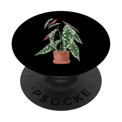 Polka Dot Begonia Maculata Gift Rare Plant Gifts PopSockets Swappable PopGrip