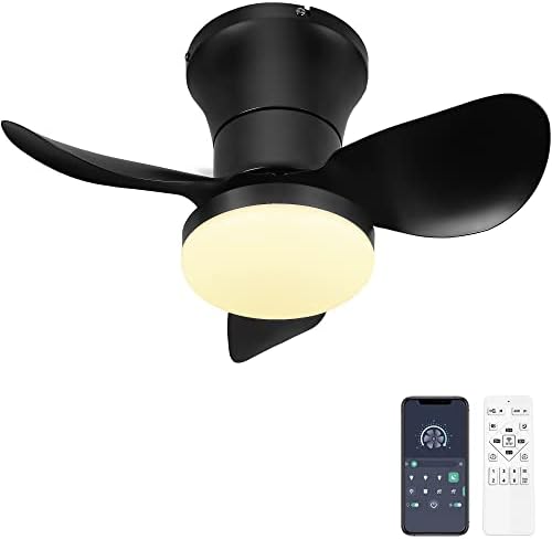 Ohniyou Ceiling Fan with Lights and Remote - 21'' Flush Mount APP Control - Quiet DC Dimmable Ceiling Fan Lights for Kitchen, Bedroom (Black)