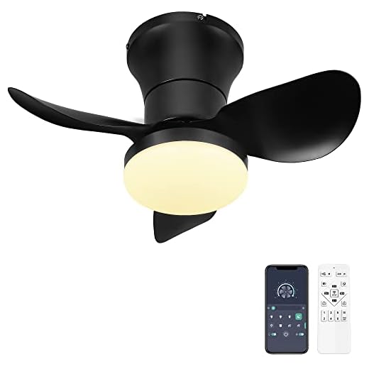 Ceiling Fan with Lights and Remote - 21'' Small Flush Mount Ceiling Fan APP Control - Dimmable Quiet DC Ceiling Fan Lights for Kitchen Bedroom(Black)