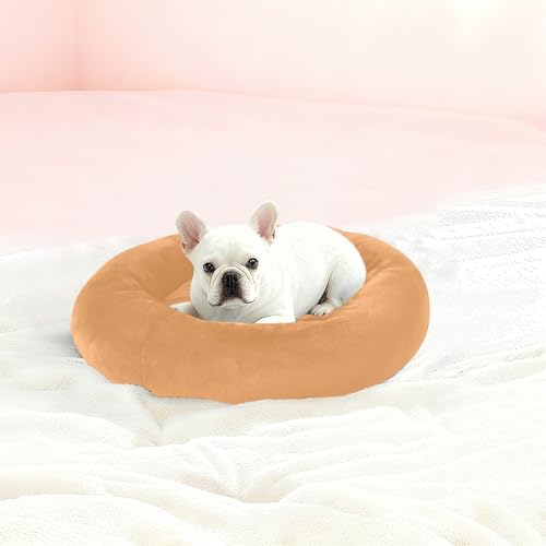 Lit d'hiver pour chiot compact taille S marron sable contre le sol froid