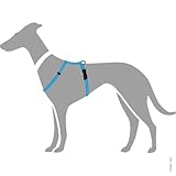 HUNTER TRIPOLI Hundegeschirr, kleine Hunde, Nylon, reflektierend, robust, XS-S, hellblau