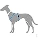 HUNTER TRIPOLI Hundegeschirr, kleine Hunde, Nylon, reflektierend, robust, XS-S, hellblau