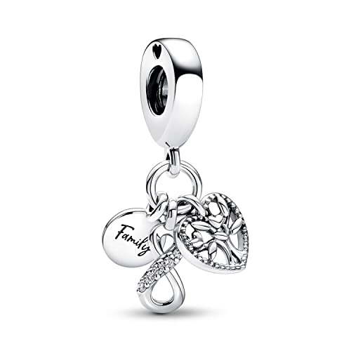 Image of INZEN Heart-shaped Friendship Charm Pendant Suitable For Most Charm Bracelets And Necklaces DIY Puppy Tigger Beads Jewelry Gifts For Women And Girls (Family Infinity Charm)