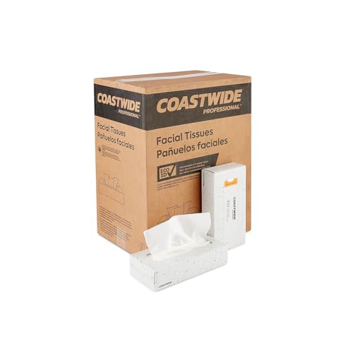 Recycled Facial Tissue 2-Ply 100 Sheets/Box 30 Boxes/Carton (CW57776)