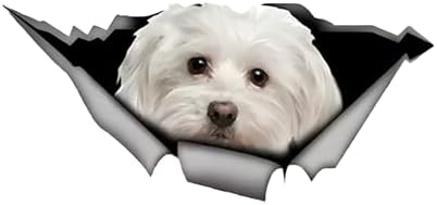Autoaufkleber Malteser Aufkleber 15cm(5.9 Inch) Maltese Car Sticker 3D Zerrissen Autoaufkleber Wasserdichte Haustier Hund Reflektierende Aufkleber Malteser Lustig Sticker Dekor