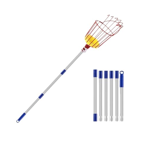 jsdskw Lk `  ʕ `_ t[csbJ[ y ʕn oXPbg |p ʎp _ ʕlJS p 4m (2.4mi6߁j) [sAi]