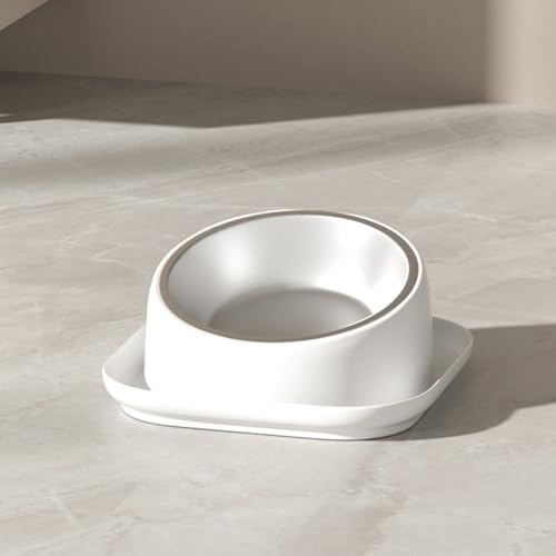 Bol d'eau pour chat avec double mangeoire pour chaton et accessoires pour chiots de maison
