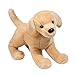 Mandy Yellow Lab
