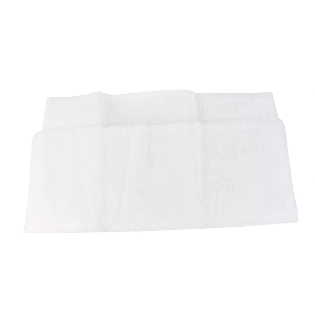 WUNDER Filtro de Grasa para Campana Extractora 2 Piezas Papel Absorbente de Aceite
