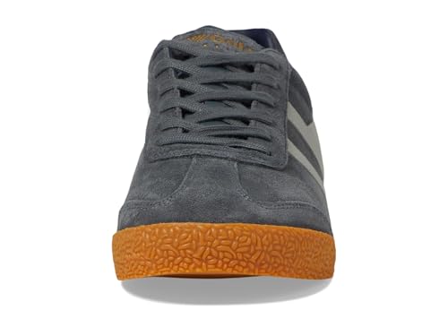 Image of Gola Harrier