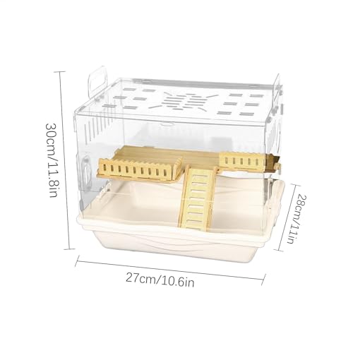 Cage pour hamster transparente idéale pour observer en famille