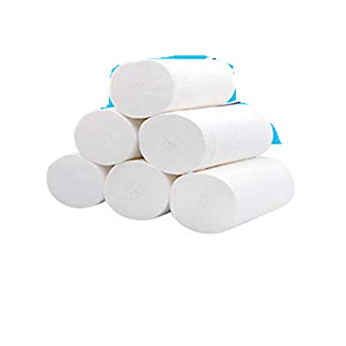 Preisvergleich Produktbild Eternali 12 Rollen Küchenrollen Küchentücher Großhandel Förderung Kleinrollen Toilettenpapier Multipack Schule Kindergarten WC-Papier WC Rollen Universität Toiletten Klopapier
