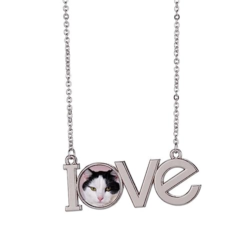 Collier chat Smoking Billicat M : fini les colliers banals