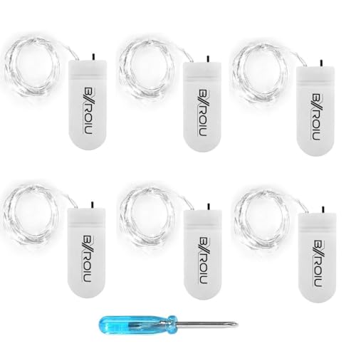 BXROIU 20er Micro LED Lichterkette mit CR2032 Batterie betrieb Auf 2...