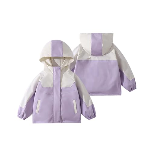 Girls Outdoor Windproof Donation Three In One Fall And Winter Punching Jacket Kids Winter Clothes (Purple, 3-4 Years)