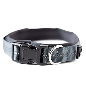   Mighty-Paw-Dog-Collar-Neoprene-Padded-Reflective-for-Running-Extra-Comfort-for-Active-Dogs-Lined-Dog-Collar-Strong-Dog-Collar-Premium-Quality-Dog-Collar-for-All-Dog-Breeds-Soft-Collar