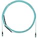 Panduit Fiber Optic Network Cable - Fiber Optic for Network Device - 248.03 ft - 1 Pack - PanMPO Fe
