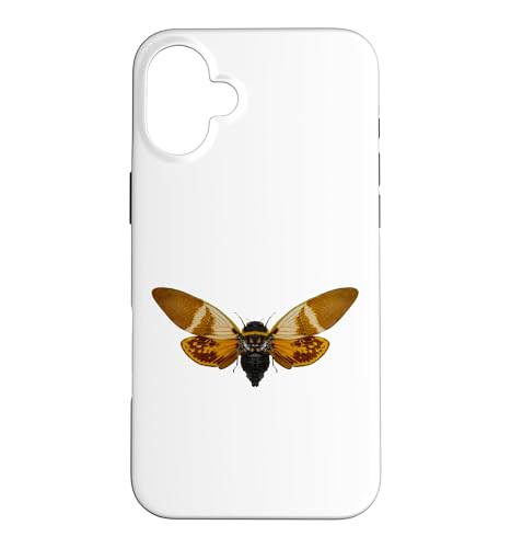 �� �� ���l �M�t�g �����Y ���f�B�[�X �L�b�Y �K�[���Y �{�[�C�Y ���[�X �X�}�z�P�[�X iPhone 16 Plus �p