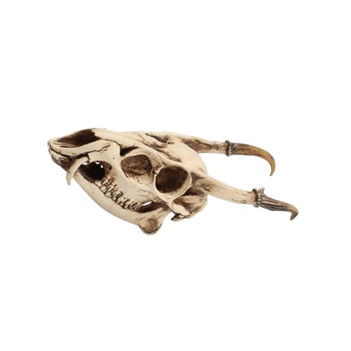 Calavera de resina resistente para decoración de Halloween gótica 2