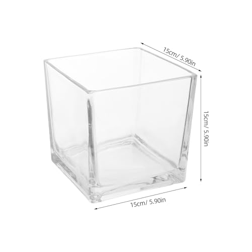 Vase hydroponique solide pour éviter les chutes de plantes sur table