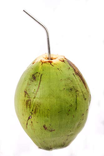 Coconut Opener Tool with Stainless Steel Straw - Image 6