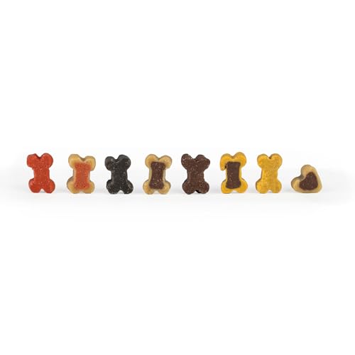 DIBO Mini-Leckerli-Mix 12 x 500g Eimer - wiederverschließbar - Hundesnack für Training und Belohnung, Hundefutter (Geflügel, Lamm, Pansen, Rind, Wild und Lachs)