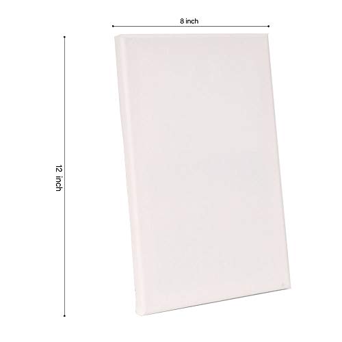 image for DR.DUDU 8 x 12 Inch Painting Stretched Canvas, 10 Pack, 100% Cotton Pi