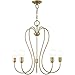 Livex Lighting 41365-01 5 Light Antique Brass Chandelier