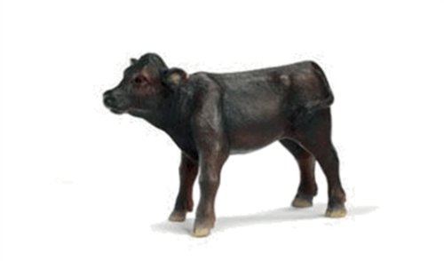 13270 - Angus Ternera [Importado de Alemania]