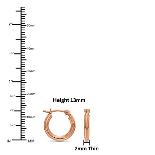 Image of 14K Rose Gold Classic Shiny Polished Round Hoop Earrings, 2mm tube