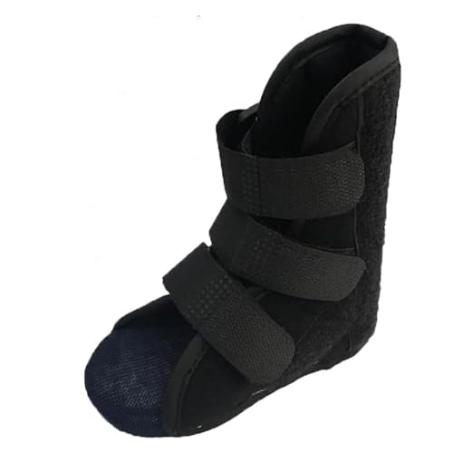 tbgXvgC xr[ptbgu[X iCgXvgAcpXgtFm|fBAXvgAAؖAALXFp(18cm)