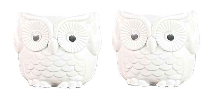 RSP HOME DECOR | Small Plastic Owl Pot for Home Decor Set of 2 White (B0CTCHW5QX) Amazon Price History, Amazon Price Tracker