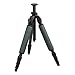 SWAROVSKI PCT Professional Carbon Tripod - Legs only (49277)