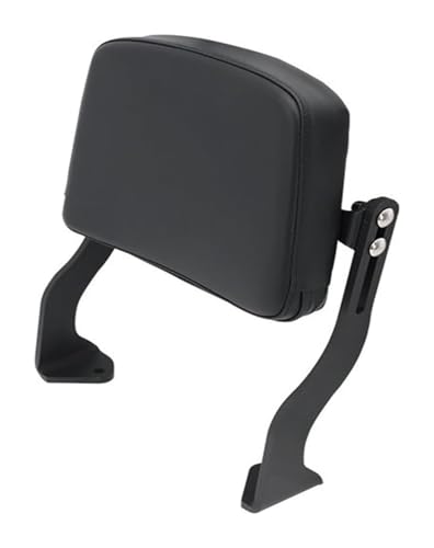 Porte-bagages Pan America 1250 et sissy bar pour explorer à deux