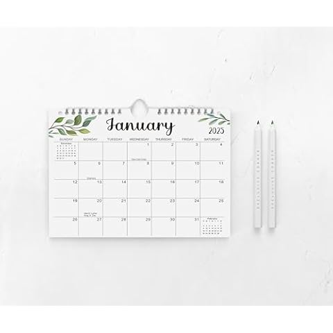 2025 Large Monthly Planner with Holidays Cover