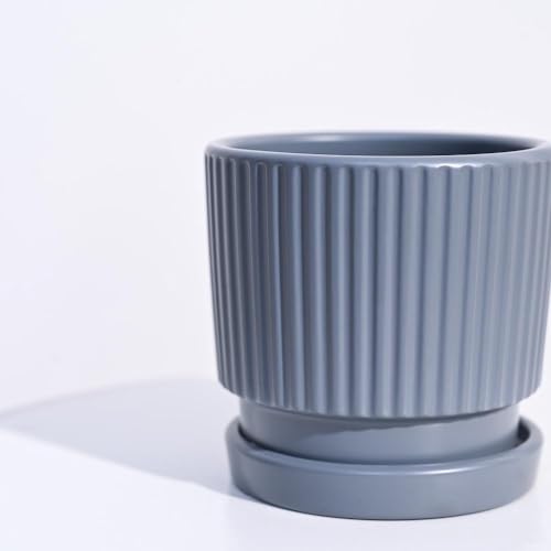 Image of UGAOO Roma Ceramic Pot |Indoor Ceramic Planter for Home, Office, Garden, Balcony - Gray (4 Inch)