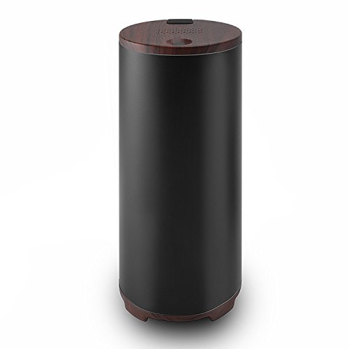 LUOYIMAN Color Purifier Portable Ozone air Cleaner Sterilizer Deodorizer USB Charge for Car Home Office (Black), Small