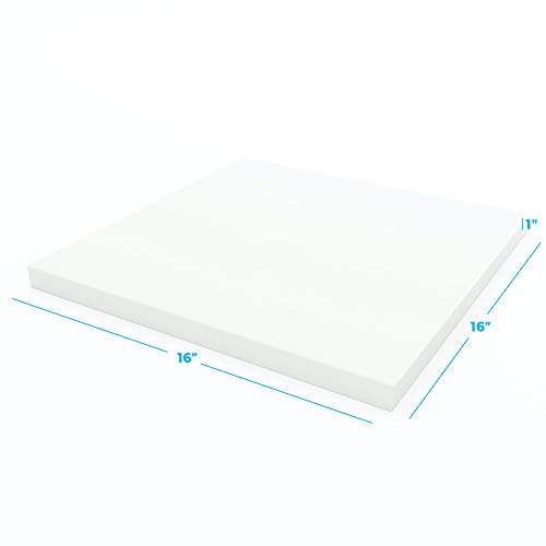 https://m.media-amazon.com/images/I/31nCmPCv3IL._SL500_.jpg