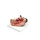 3B Scientific Weibliches Becken Modell, 2-teilig, dunkle Hautfarbe - 3B Smart Anatomy