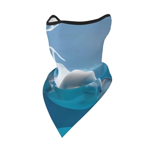POEZJZW Bandana con estampado de ballena, bufanda para la cara, calentador de cuello, multifuncional, sin costuras