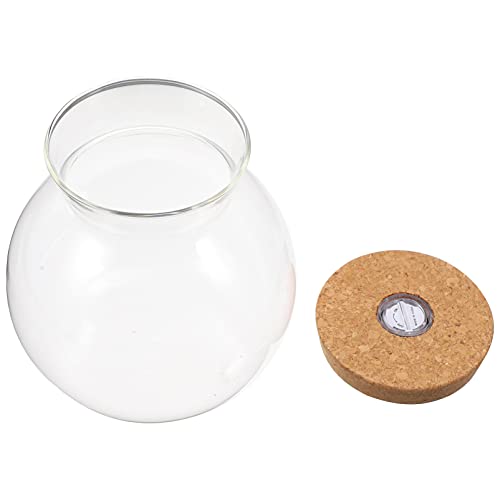 Glass Favor Jars with Cork Lid & LED Light for DIY Decor