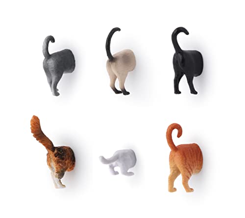 Imanes Decorativos de Refrigerador Divertidos Gatos Set 6 miniatura 2