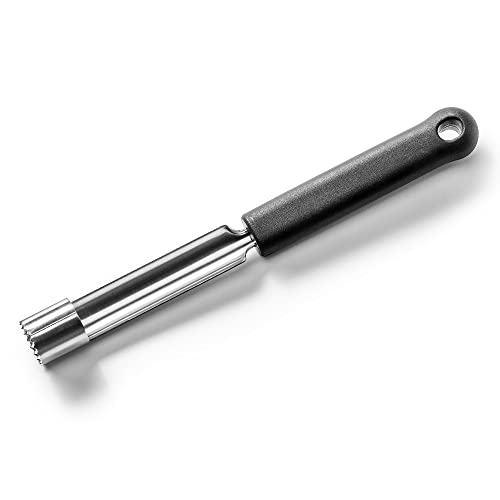 Forgast Levatorsolo Torsolo Mela, Strumenti Per Intagliare, Coltello per Scavare le Mele, Lunghezza 10 cm, Maniglia in Materiale Sintetico, Lama in Acciaio Inossidabile