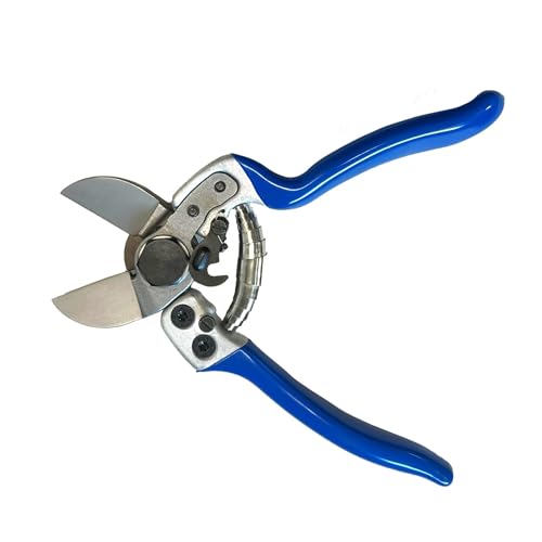 PATERLINI Forbici Potatura Professionali - Cesoie da Giardinaggio, Made in