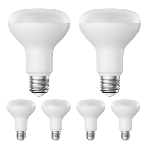 ledscom.de 6x lampadine LED E27, R80, bianco caldo (2700 K), 10 W, 935lm, opaco