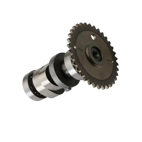 Arbre à cames Maxxer 300 MXU 300 Xciting 250 People 250 S moteur 4T 300cc