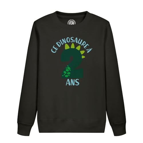 Sweatshirt enfant dinosaure 2 ans : cadeau original d'anniversaire